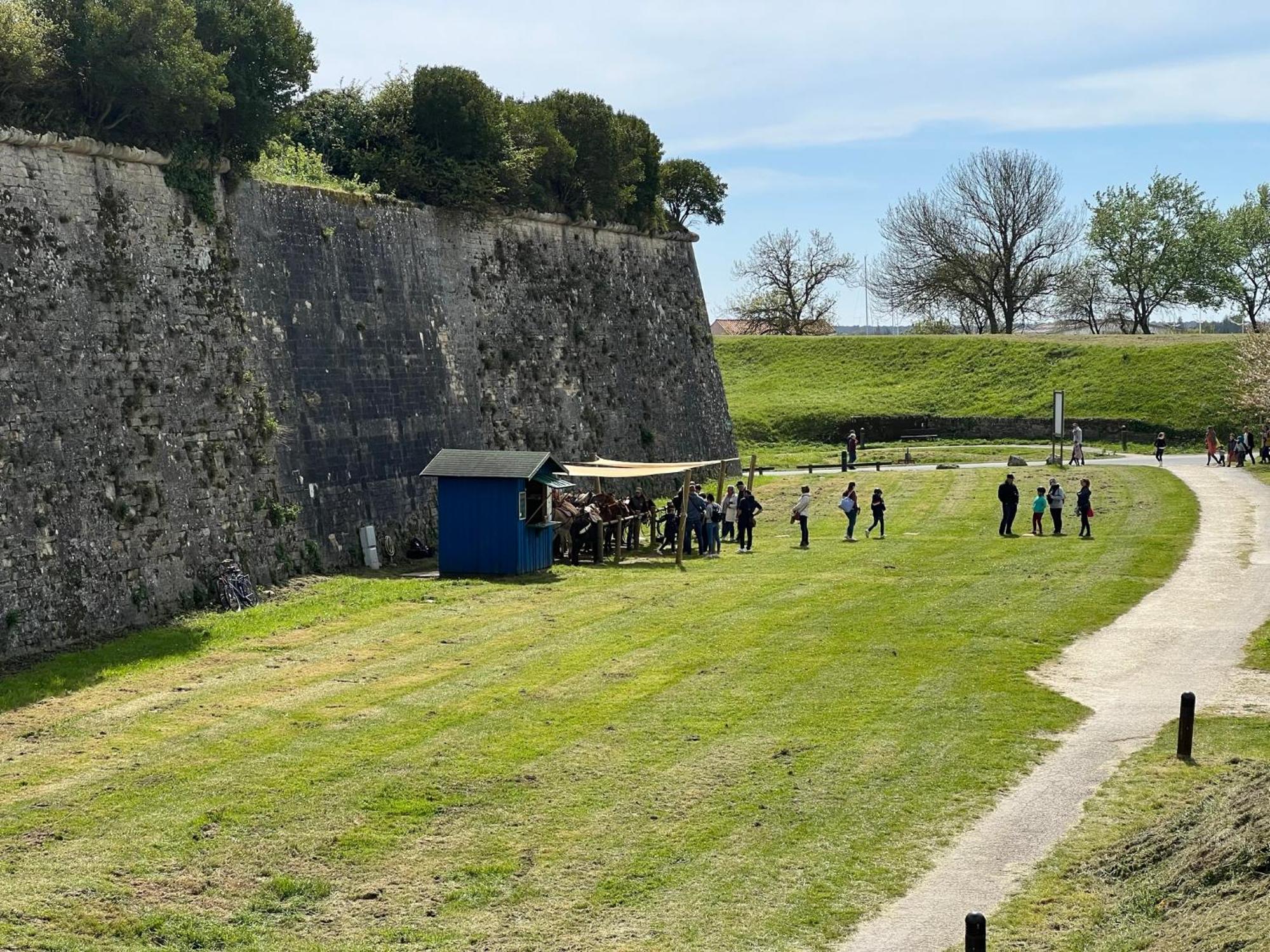 Les Amareyeurs - Ile D'Oleron - Maison Classee 3 Etoiles Avec Piscine - Clim - Velos เลอ แชโตว์-โดเลรง ภายนอก รูปภาพ