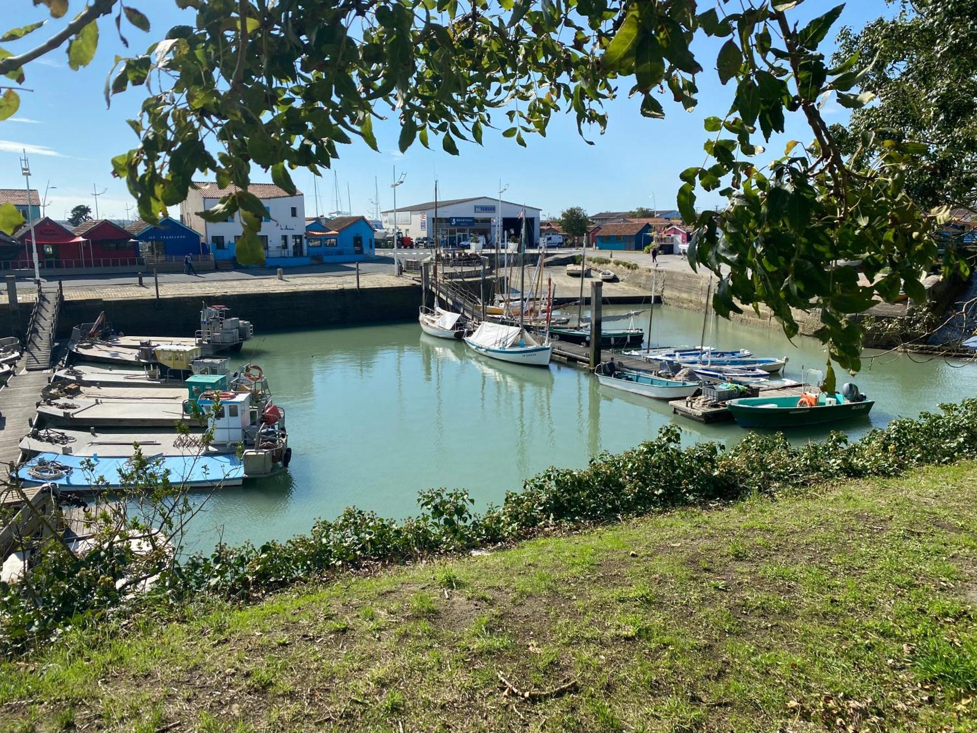 Les Amareyeurs - Ile D'Oleron - Maison Classee 3 Etoiles Avec Piscine - Clim - Velos เลอ แชโตว์-โดเลรง ภายนอก รูปภาพ